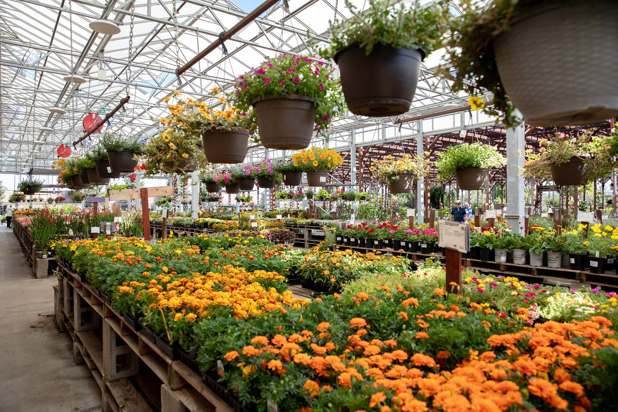 Our nursery